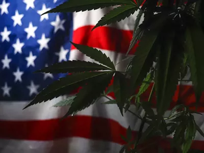 “There’s not a lot of great ideas coming from the Democrats” Michigan Republican House Speaker Matt Hall said of Gov. Gretchen Whitmer’s controversial plan to fix roads by raising cannabis taxes.