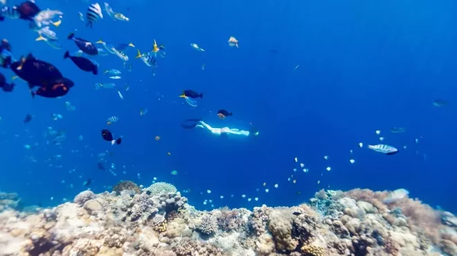 Image: My Favorite Places for Snorkeling in Florida: A Deep Dive Into the Sunshine State’s Hidden Gems