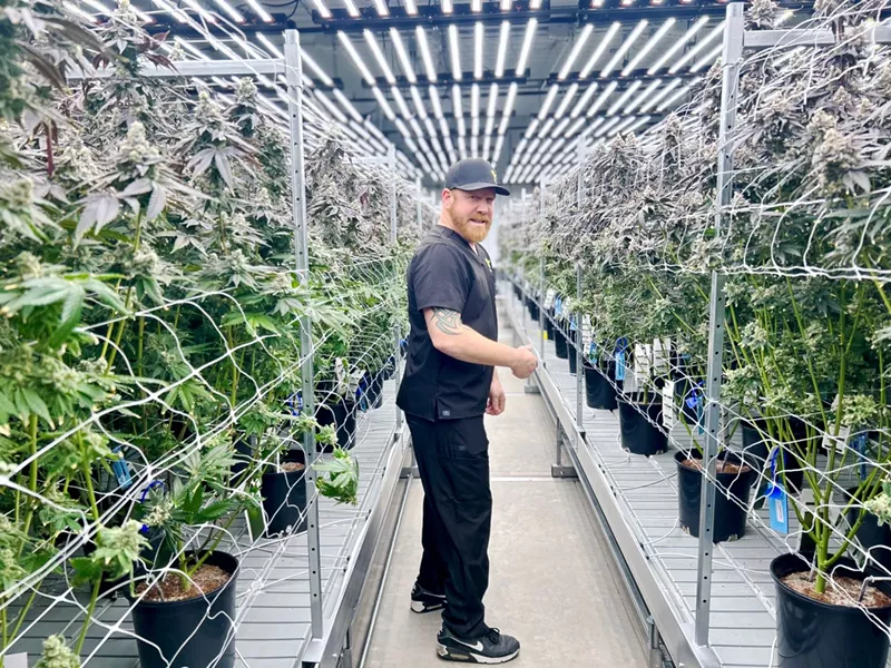 Director of operations Tyler Smith helps to cultivate Wojo's cannabis free of chemicals and additives. - Steve Neavling